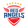 Incheon Hyundai Steel Red Angels (W)